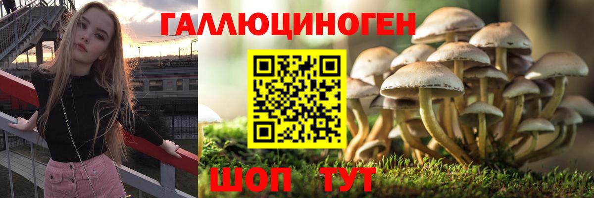 Псилоцибиновые грибы Magic Shrooms  Вход с VPN  Галлюциногенные грибы Psilocybe  Конаково 